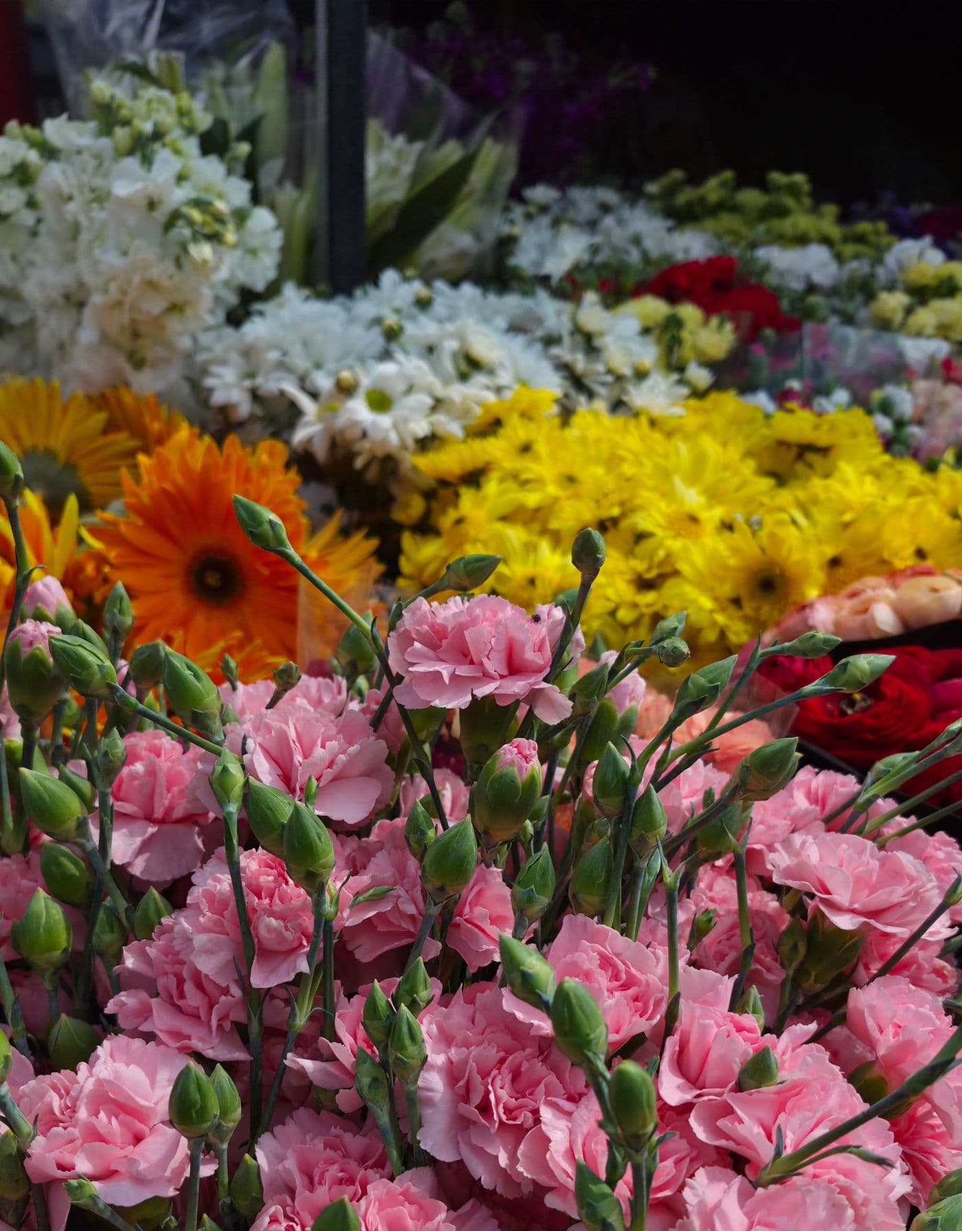 Colorful fresh flowers at a market